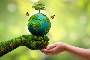 وکیل دادگستری و محیط زیست